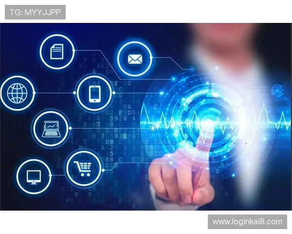 K8正规网的合法合规运营背景与行业信誉分析